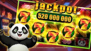 Live casino and bingo entertainment on aha88 platform